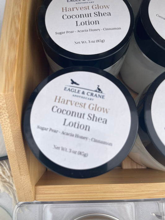 Harvest Glow Coconut Shea Lotion