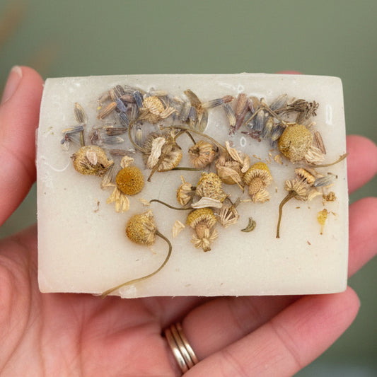 Chamomile Tallow